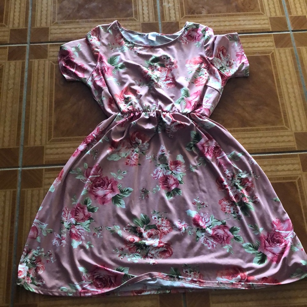 Honey and Lace dress worn 2X